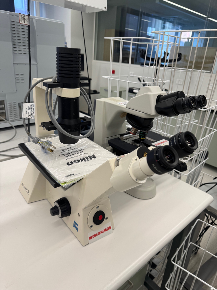 Image of Zeiss Axiovert 25 Inverted Microscope
